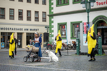 main-img.jpg