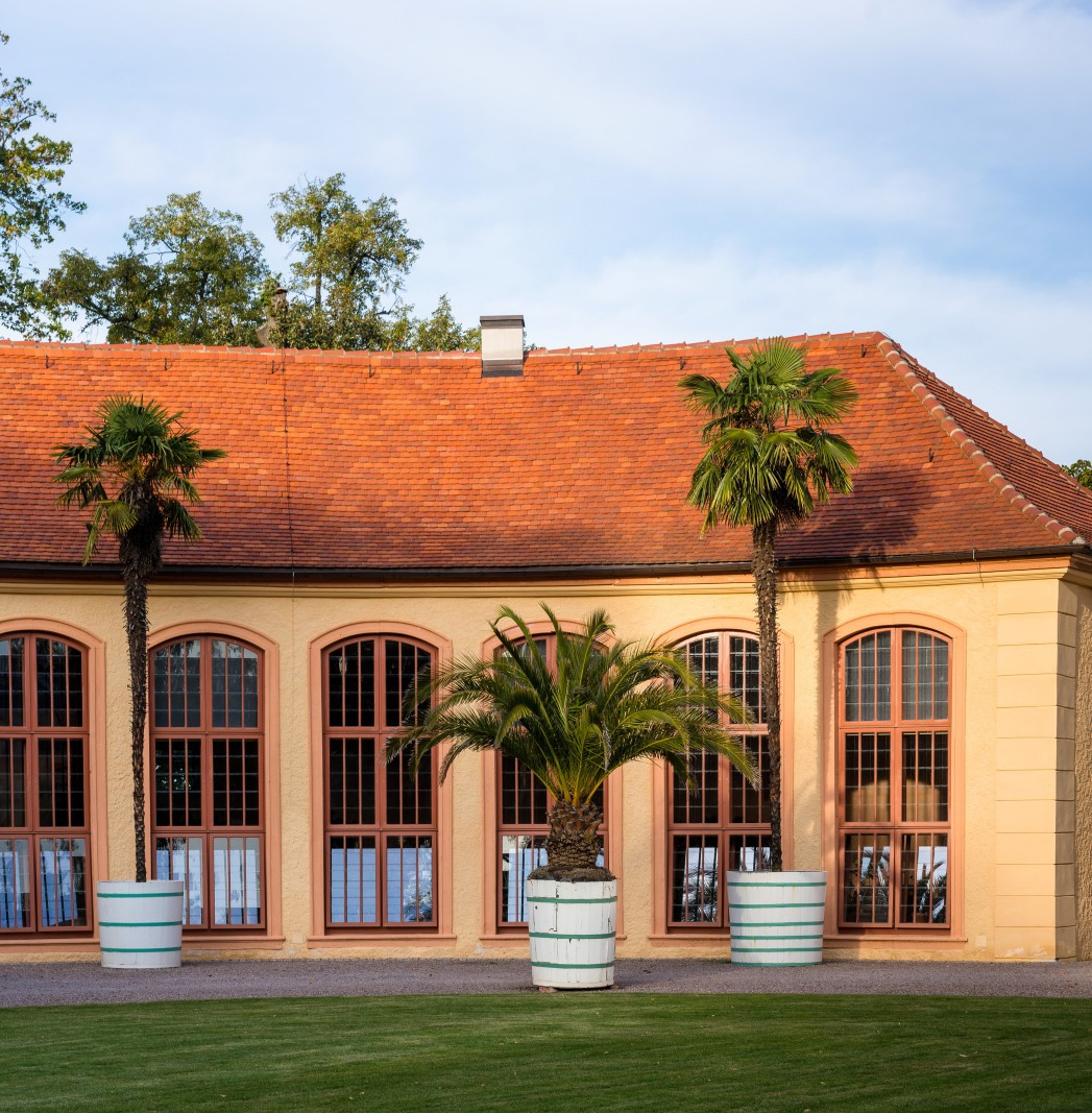 klassik-stiftung-weimar-fotothek-alexander-burzik_kl.jpg